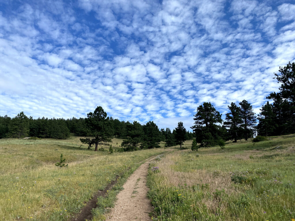 Meyers Gulch Trail - Walker Ranch
