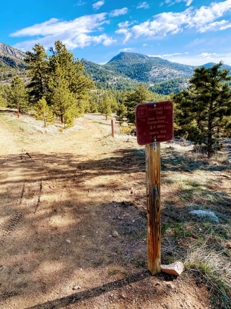 Mountain Lion Trail