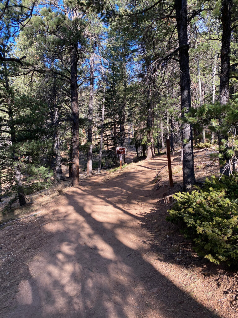 Mason Creek Trail to Eagle Cliffs Overlook