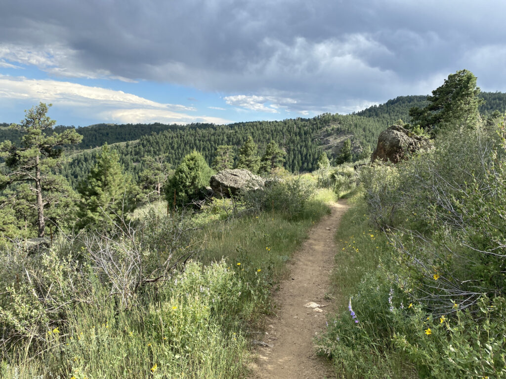 White Ranch Park - Mustang Trail