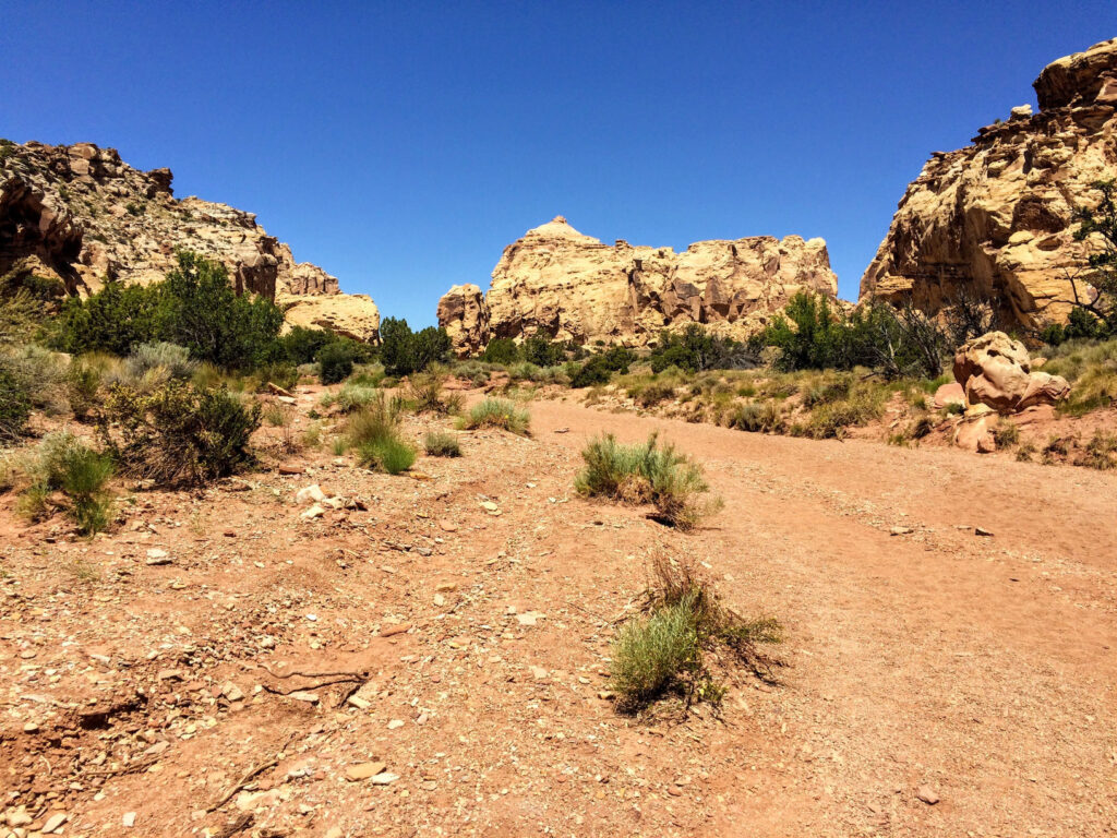 Little Wild Horse Canyon and Bell Canyon Loop